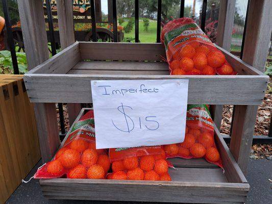 MARTYNSE FAMILY FARM