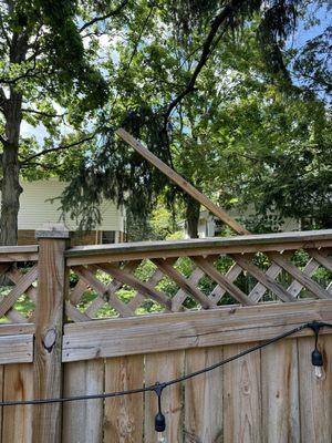 Another area of fencing.