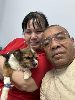 PawDiva Pet Grooming