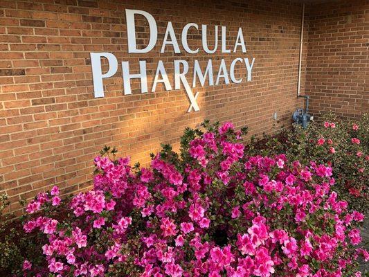 Dacula Pharmacy