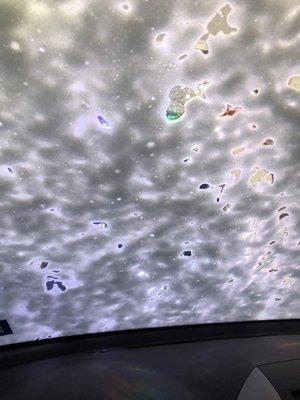 Mint Express Car Wash