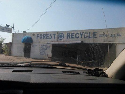 Forest Recycle