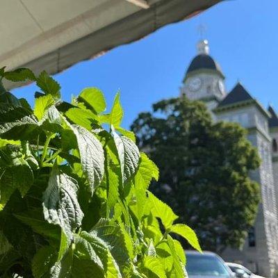 The Palms Massage and Day Spa