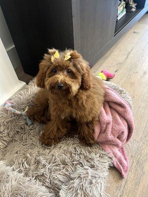 Before and after photos!