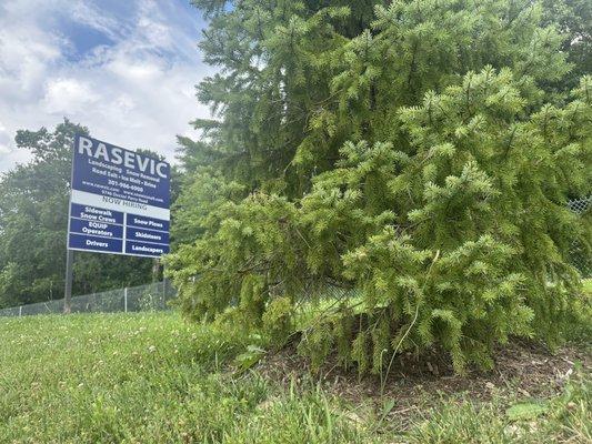 The Rasevic Companies