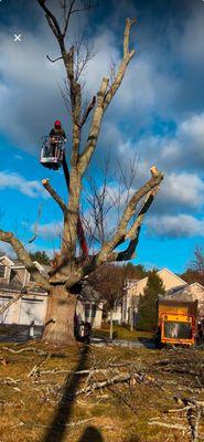 LCN Tree Service