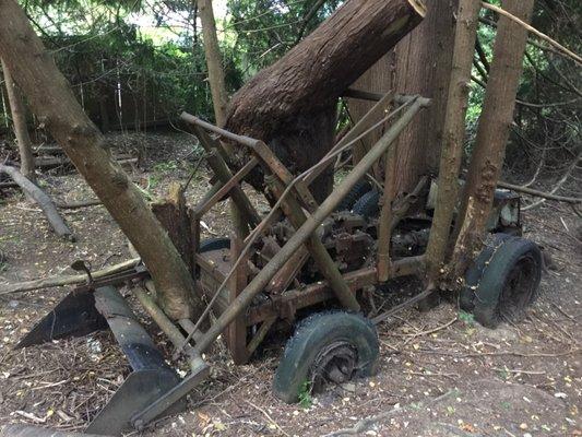 Paramount Park Open Space