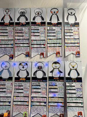 Safari Kid - Pleasanton