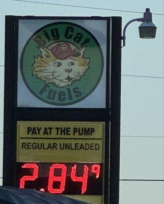Big Cat Fuels