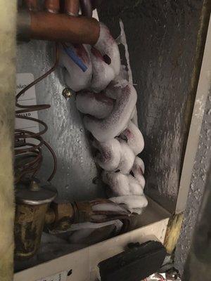 Frozen evaporator . Different company quoted them a motor replacement for $1600 and I found that it was just a dirty filter:)