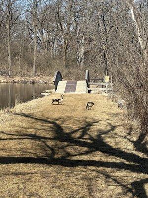 Fel-Pro RRR Conservation Area