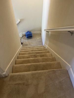 Ruben Carpet & Upholstery Cleaning