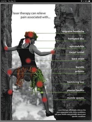 Dina Stewart Massage Therapist