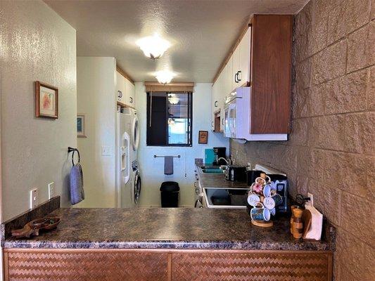 Full size washer and dryer. Ice and filtered water in fridge.
