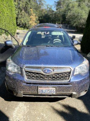 Exotic Aura Detailing