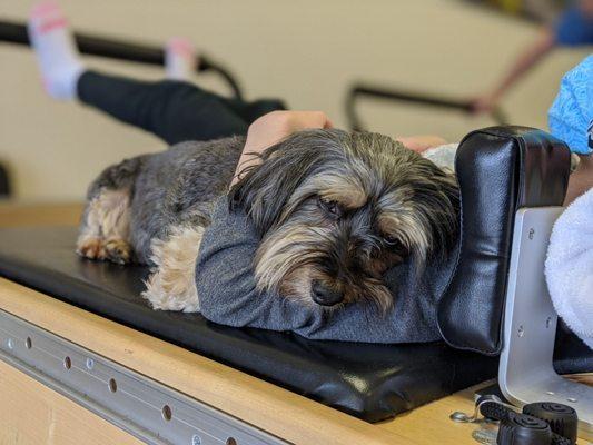 Inspire Physical Therapy