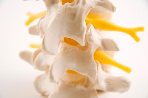Snyder Chiropractic & Acupuncture
