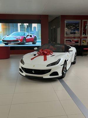 Ferrari of the Woodlands