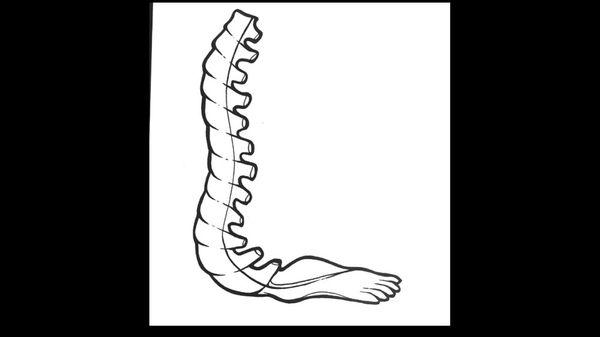 Brady A Lloyd - Lloyd Chiropractic Clinic