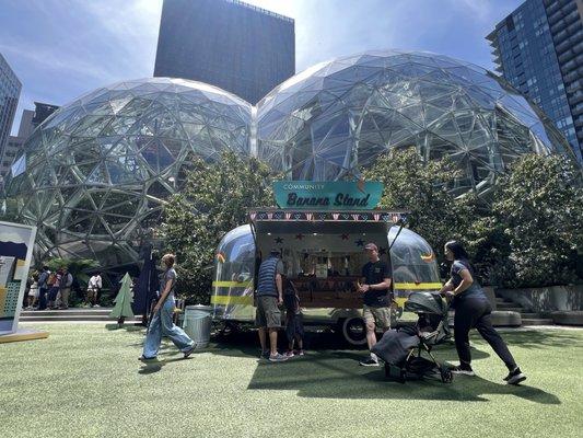 Amazon Community Banana Stand