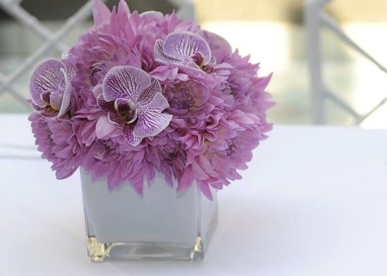 Roman Sacke Floral Design