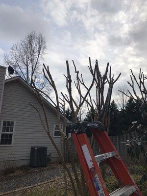 Harmon Pressure Washing