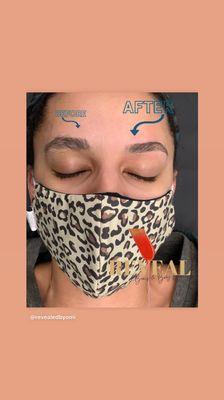 Reveal Brows & Body Waxing by Naomi