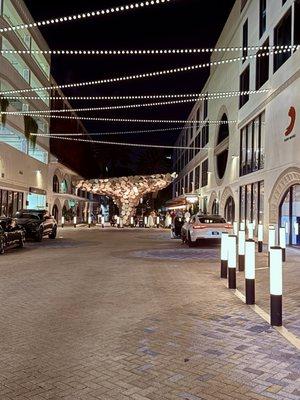 Mayfair Shops In the Grove