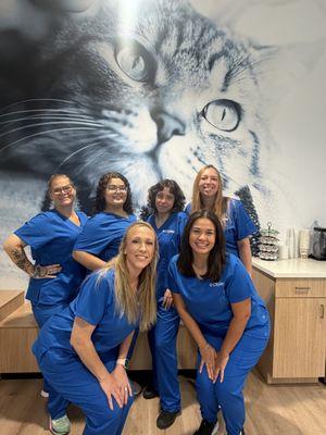CityVet | Lake Nona team