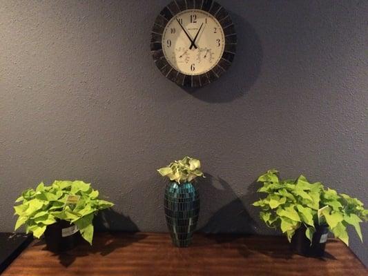 CS Salon & Spa Suites