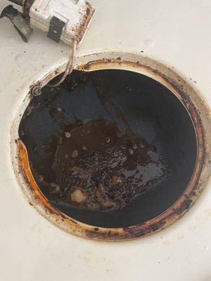 Professional Cleaning Services