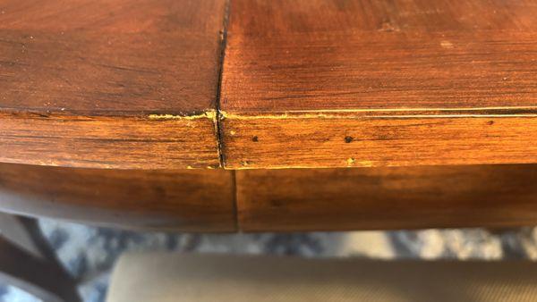 The Moving Experience