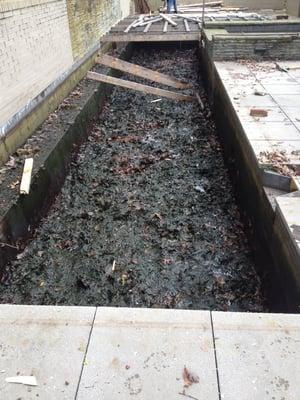 Thrasher Pool and Spa