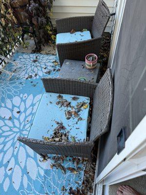 Jams Lawn & Gardening