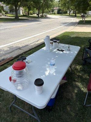 Citrus Splash Lemonade