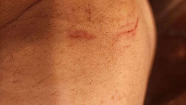 Domenic & Pietro Barber Studio