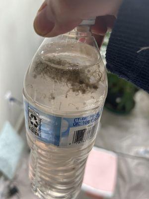 Southside Garden Supply