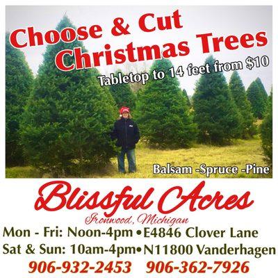 Blissful Acres Tree Farm