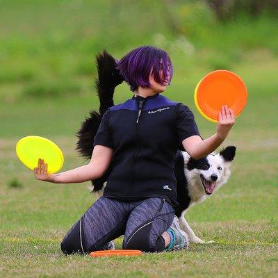 Ice & Fire Dog Training