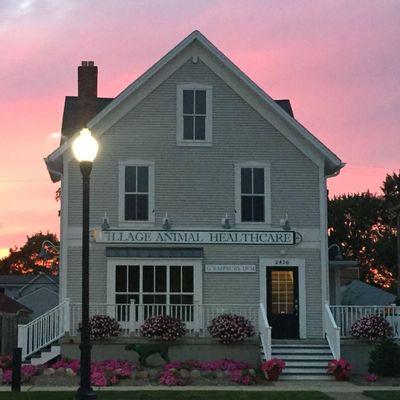 Village Animal Healthcare