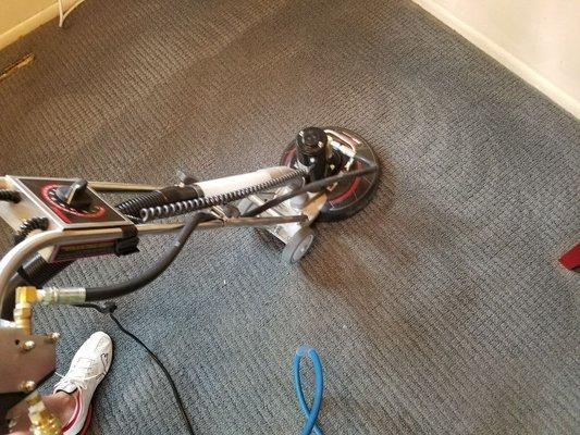 Billing's Best Carpet Cleaners