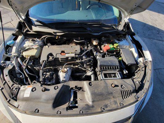 Castillo Auto Repair & Electric