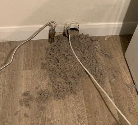 Dryer dust just at the edge of vent. They also sucked the rest of the hose too.