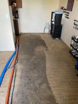 Pro Clean Carpet Cleaning