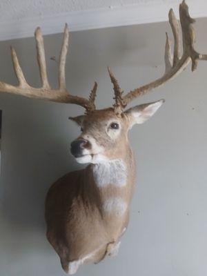 Baldy's Muffler Shop & Tire Service