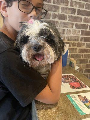 Cooper after surgery. Thanks Dr Lewis. You made my kids so happy