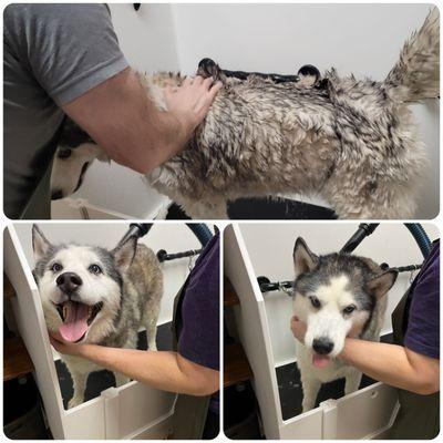 EarthWise Pet Supply & Grooming Cottage Grove