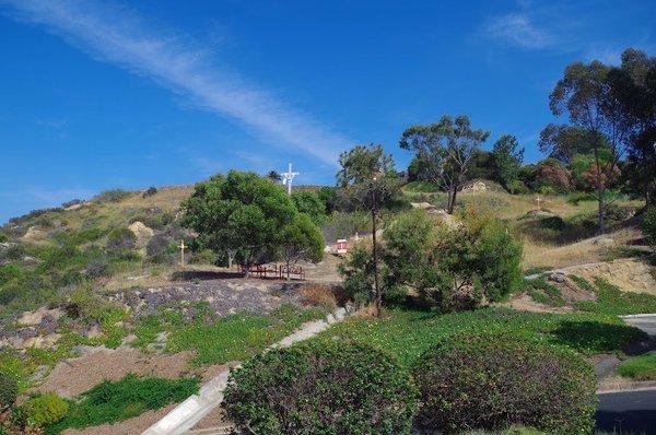 Divine Mercy Hills Foundation