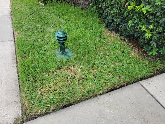 Horrible company. Does not know how to properly maintain my community St. Augustine lawns. Cut at 1-in. when recommended ht. is 3 _ 4-in.