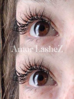 Amor LasheZ